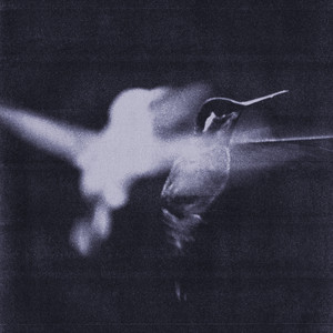 Just To Survive by Wings of Desire