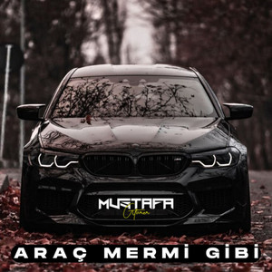 Mustafa Atarer - Araç Mermi Gibi