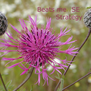 Strategy cover