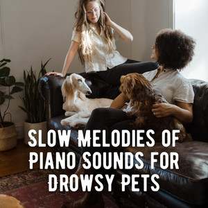 Slow Melodies of Piano Sounds for Drowsy Pets album