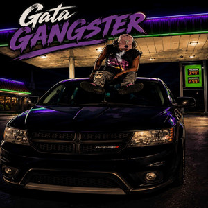 GataGagnster by Kaele bigger