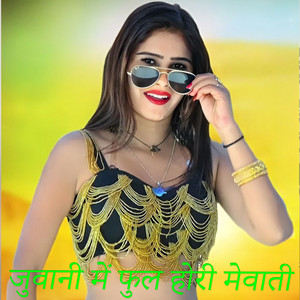 JUWANI ME FULL HORI MEWATI by Sahin Khan Mewati, SAHIL JATOLIYA