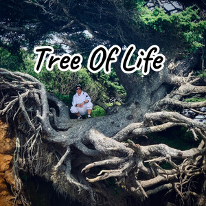 Tanya Graham - Dear Cancer journal