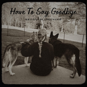 Have To Say Goodbye by Brianna Blankenship