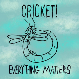 Everything Matters by Cricket!