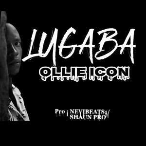 OLLIE ICON - LUGABA