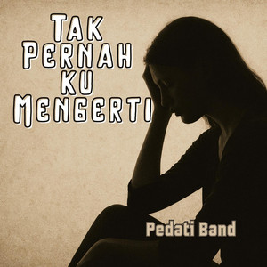 Tak Pernah Ku Mengerti by Pedati Band