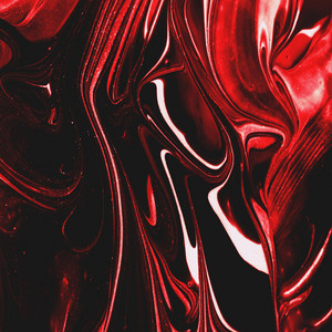 Portada de Contact