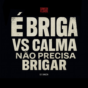 DJ Danzin - É Briga VS Calma não Precisa Brigar