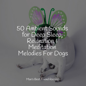 50 Ambient Sounds for Deep Sleep, Relaxation & Meditation Melodies For Dogs album