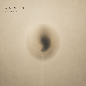 In Utero by AMNIO
