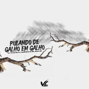 DJ VILAO DS, DJ HENRIQUE DA ZO & Silva MC - Pulando de Galho em Galho