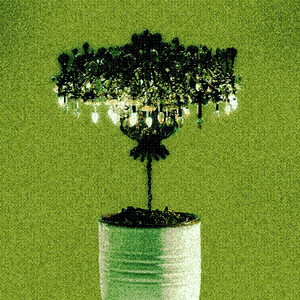 Bonsai by Lara