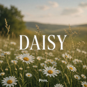 Daisy by prm.