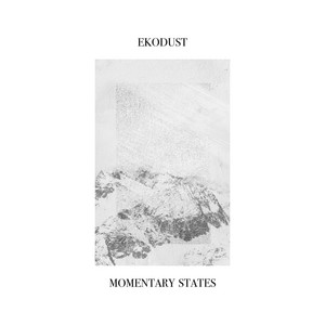album cover: Momentary States