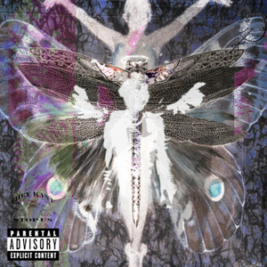 Portada de metamorphosis