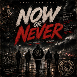 Now Or Never by Soul Sindicate