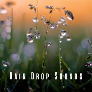 Pet-Friendly Rain Soundscapes by Precip, Calming Waves Consort, Music for Pets Library