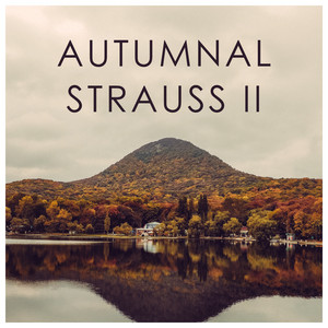 Autumnal Strauss II album