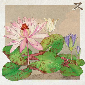 Pink Lotus by Resonant Circuits