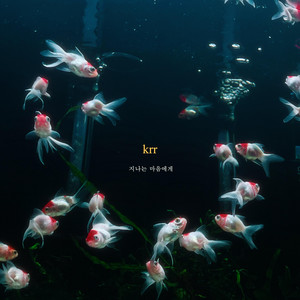 Passed by by Krr