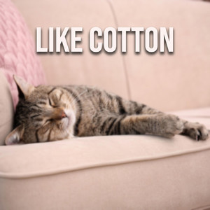 Like Cotton by Mr Werbe