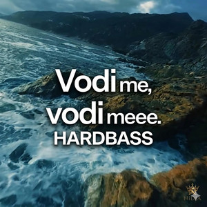 VODI ME / LJETNI HIT 2026 hardbass by Ajdin94