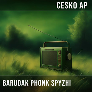 Barudak Phonk Spyzhi