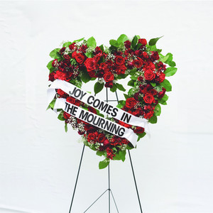 Joy Comes in the Mourning cover