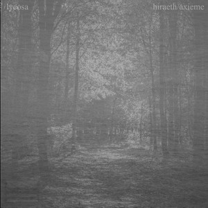 hiraeth by Lycosa