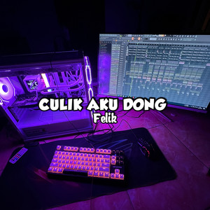 Felik - Culik Aku Dong
