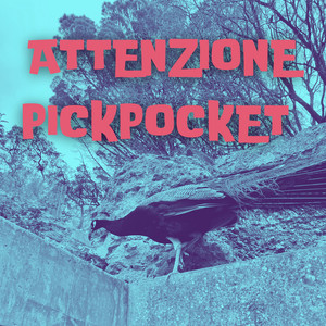 Andy Leopoli - ATTENZIONE PICKPOCKET