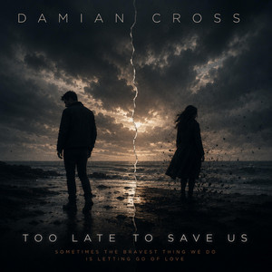 Too Late To Save Us by Damian Cross