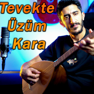Metin Yiğit - Tevekte Üzüm Kara (Bağlama)