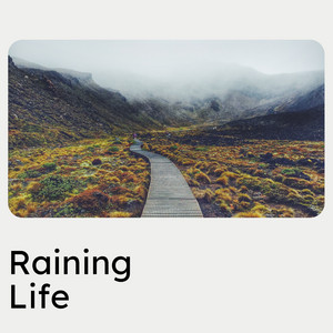 Raining Life album