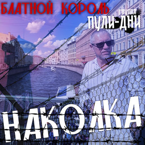 Бродяжая доля by Блатной Король, Группа Пули-Дни