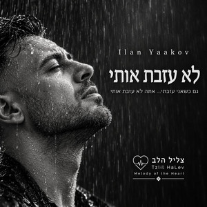 לא עזבת אותי by אילן יעקב