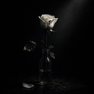 UNTIL THE DAY I DIE by Jjdroy, KevinWithAY