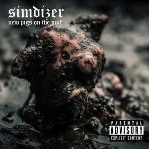 SIMDIZER