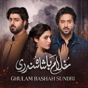 Nabeel Shaukat Ali - Ishq Mein Jo Na Fana Ho (From "Ghulam Bashah Sundri")