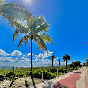 Midday in Palm City