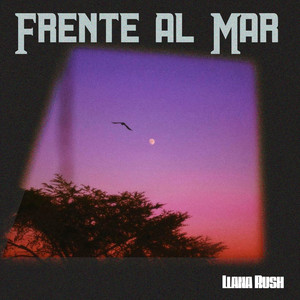 Frente al Mar by Llana Rush