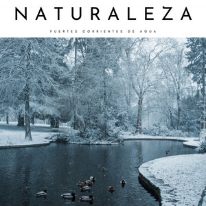 Naturaleza: Fuertes Corrientes De Agua album