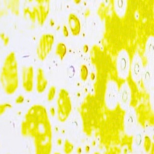 dots by synchro