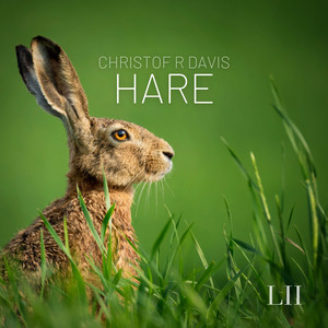 Hare