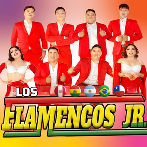 LOS FLAMENCOS JR. - Solo Me Quedaré