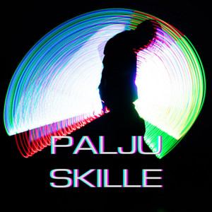 Palju skille
