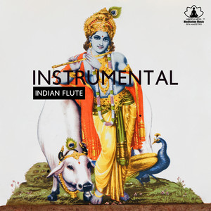 Mindfulness Meditation Music Spa Maestro - Hindu Temple