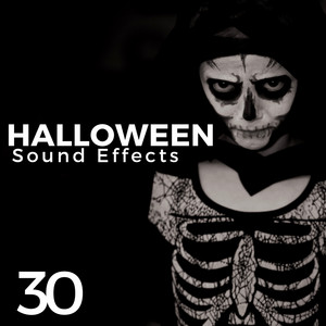 Halloween Sound Effects Masters poster