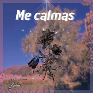 Me calmas by Kalliz